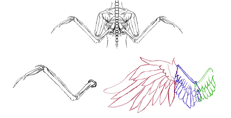 aneta urbanska sketches